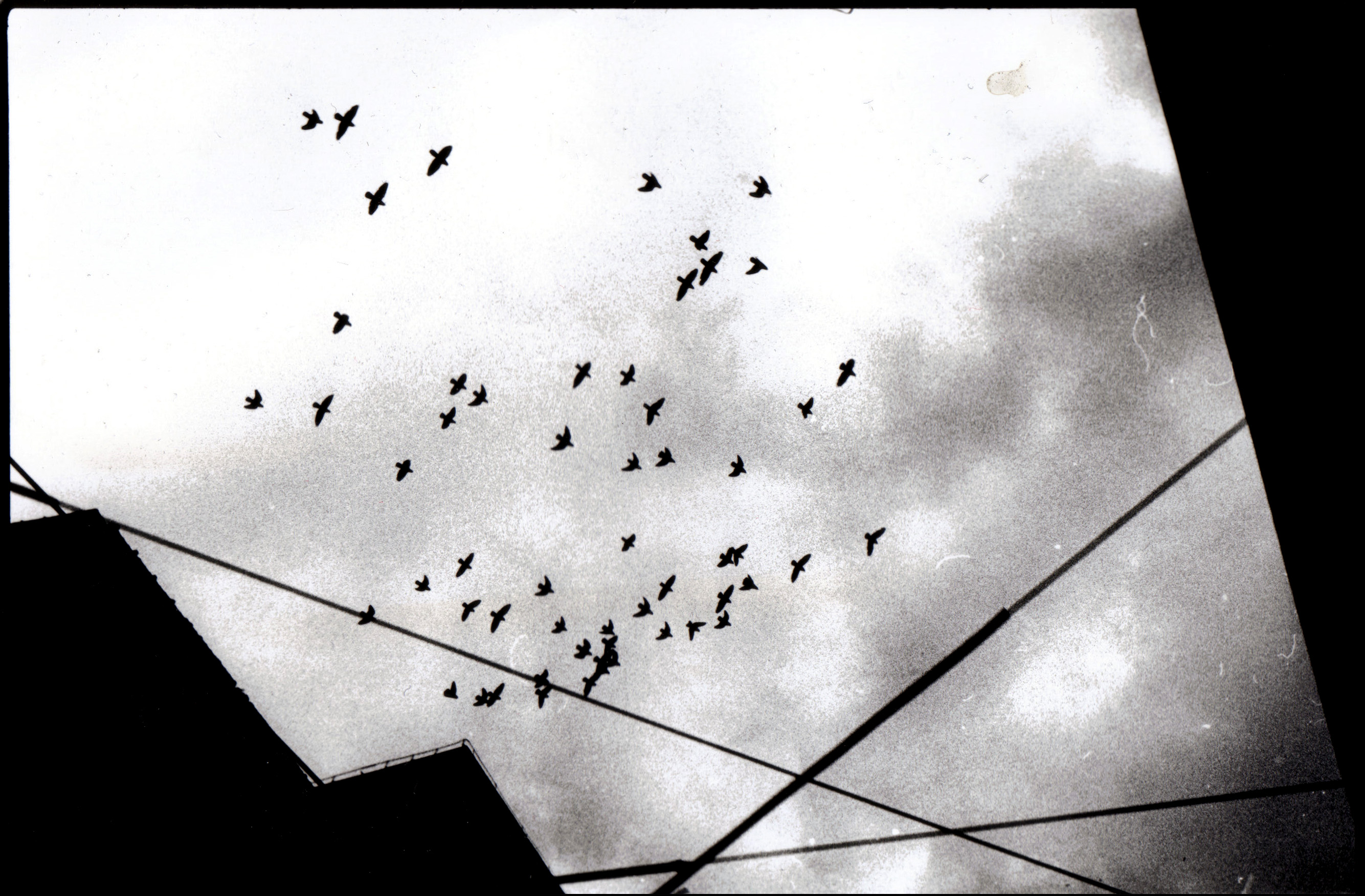 THE ESCAPE (CHINESE REQUIEM)