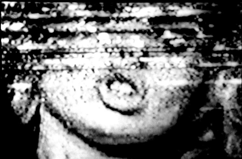 DU BRUIT DUR, LA NUIT