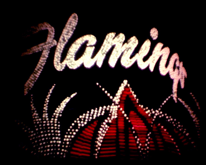 LAS VEGAS, NEON LIGHTS