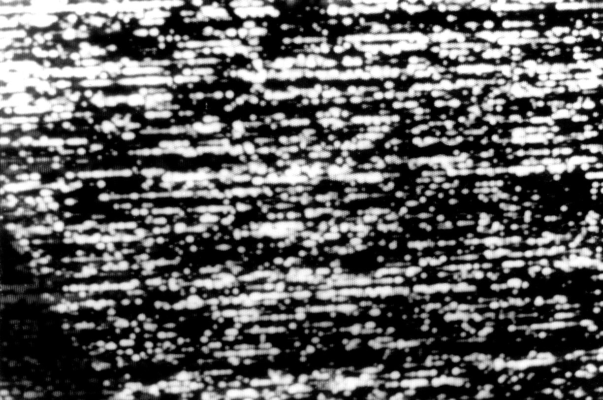 LES VIVANTS ET LES MORTS